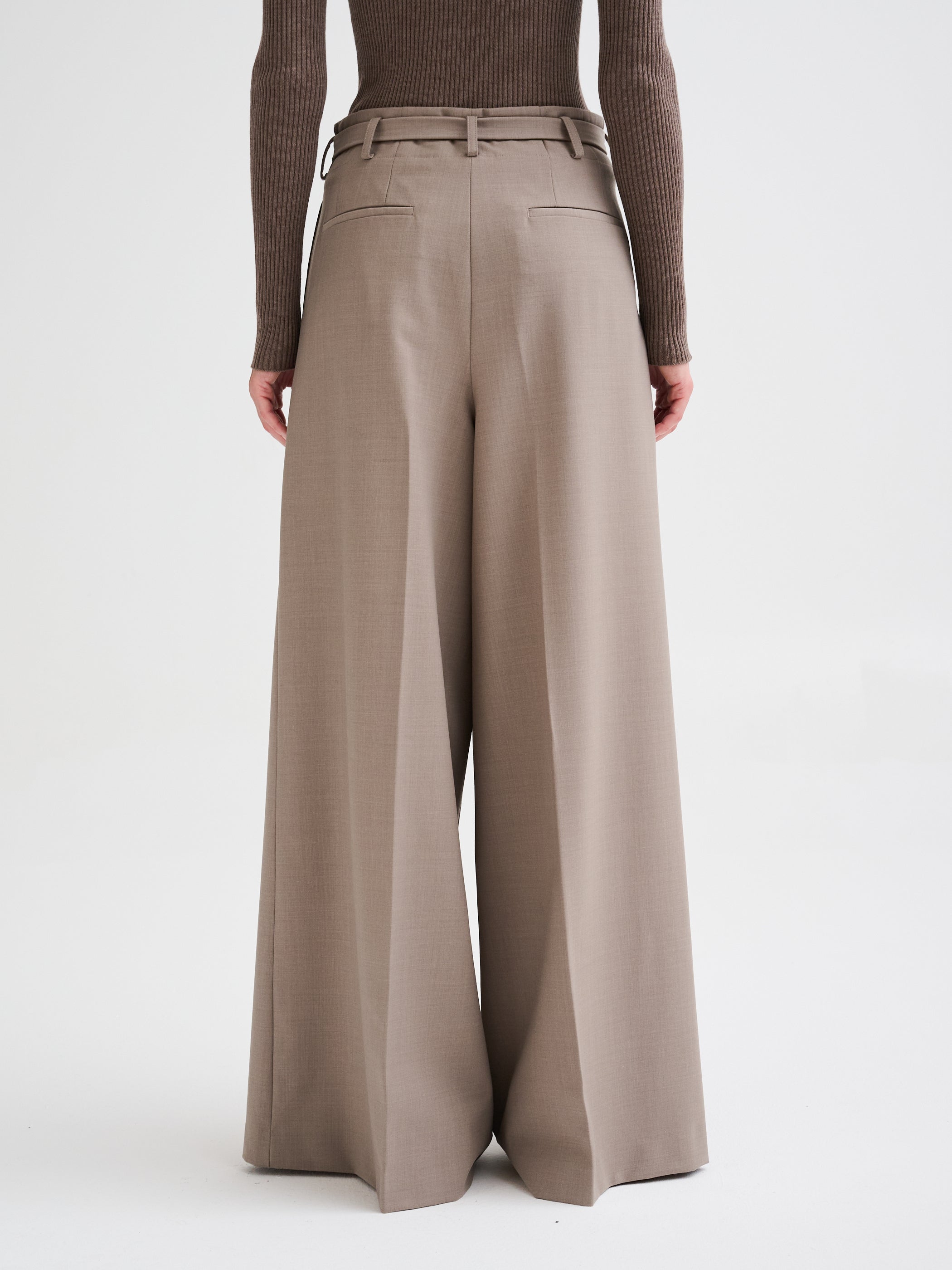 Wide-leg pleated trousers